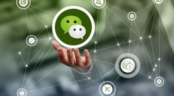 奎屯人,微信再次重拳出擊,這些頭像 昵稱或發(fā)布這些內(nèi)容將被永久封號